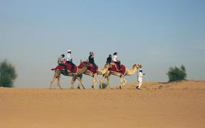 Thumbnail for Desert Fun in Abu Dhabi