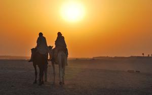 Thumbnail for Evening Desert Safari With BBQ Dinner, Camel Ride and Belly Dance