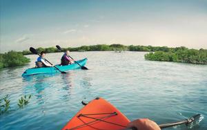 Thumbnail for Take a Kayak through Abu Dhabi’s Eastern Mangroves