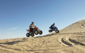 Thumbnail for 5 Great Things to do in Abu Dhabi in February