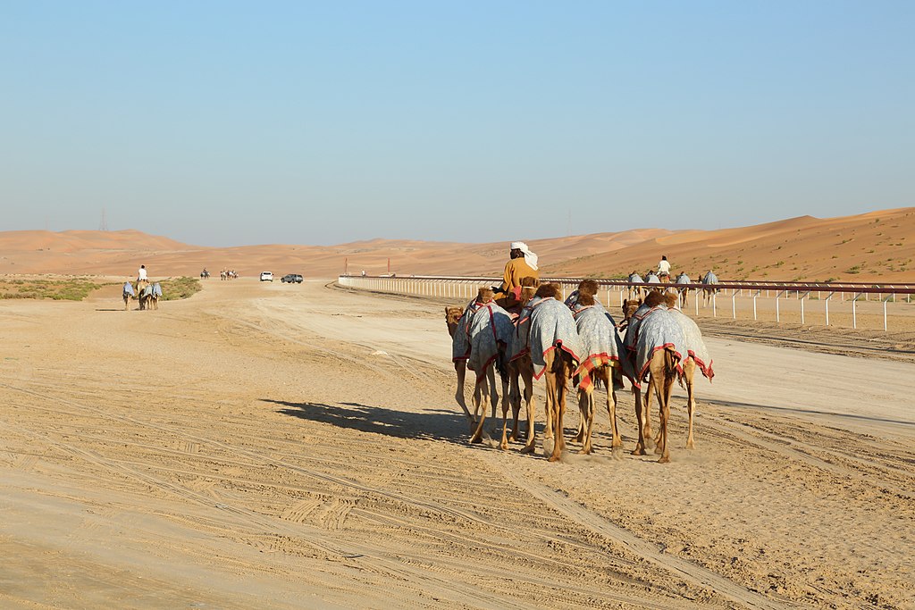 A Camel Race Track in the Liwa Desert in Abu Dhabi