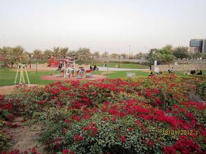 Khalifa Park