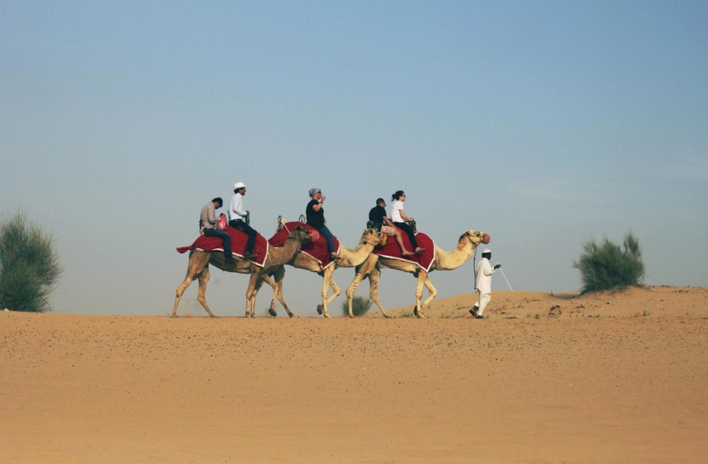 Camel Ride in Desert