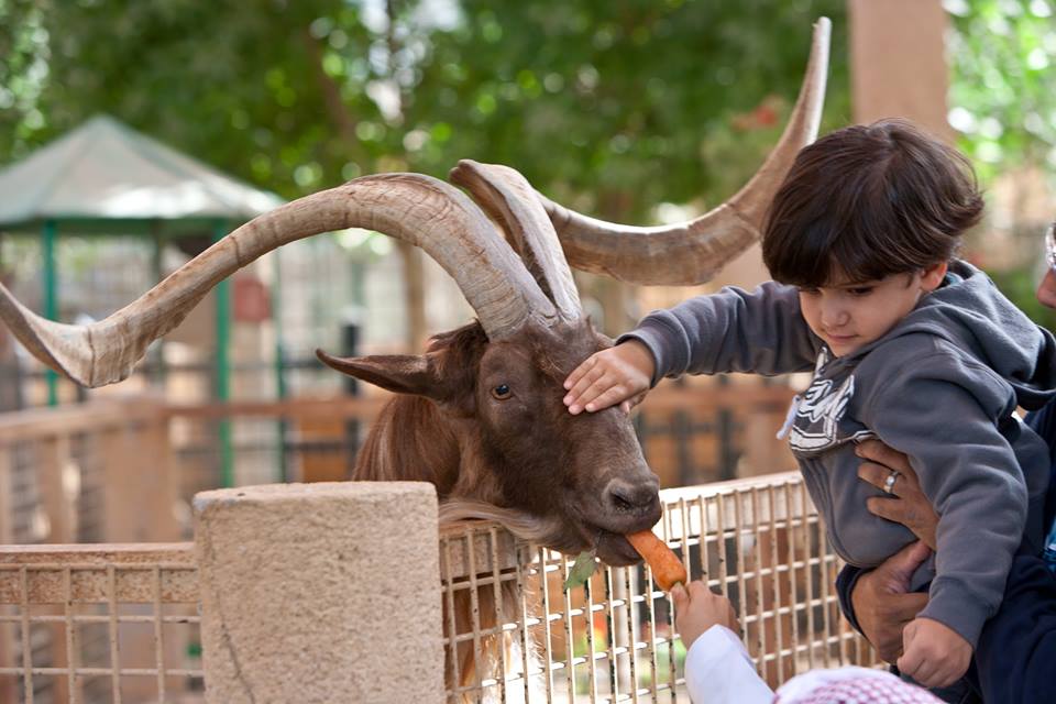 Emirates Park Zoo Abu Dhabi