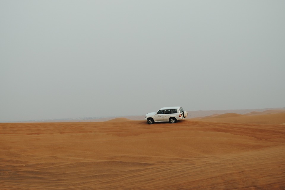 Desert Safari