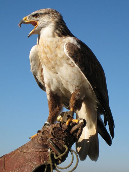 Credit: Creative Commons/Aconcagua