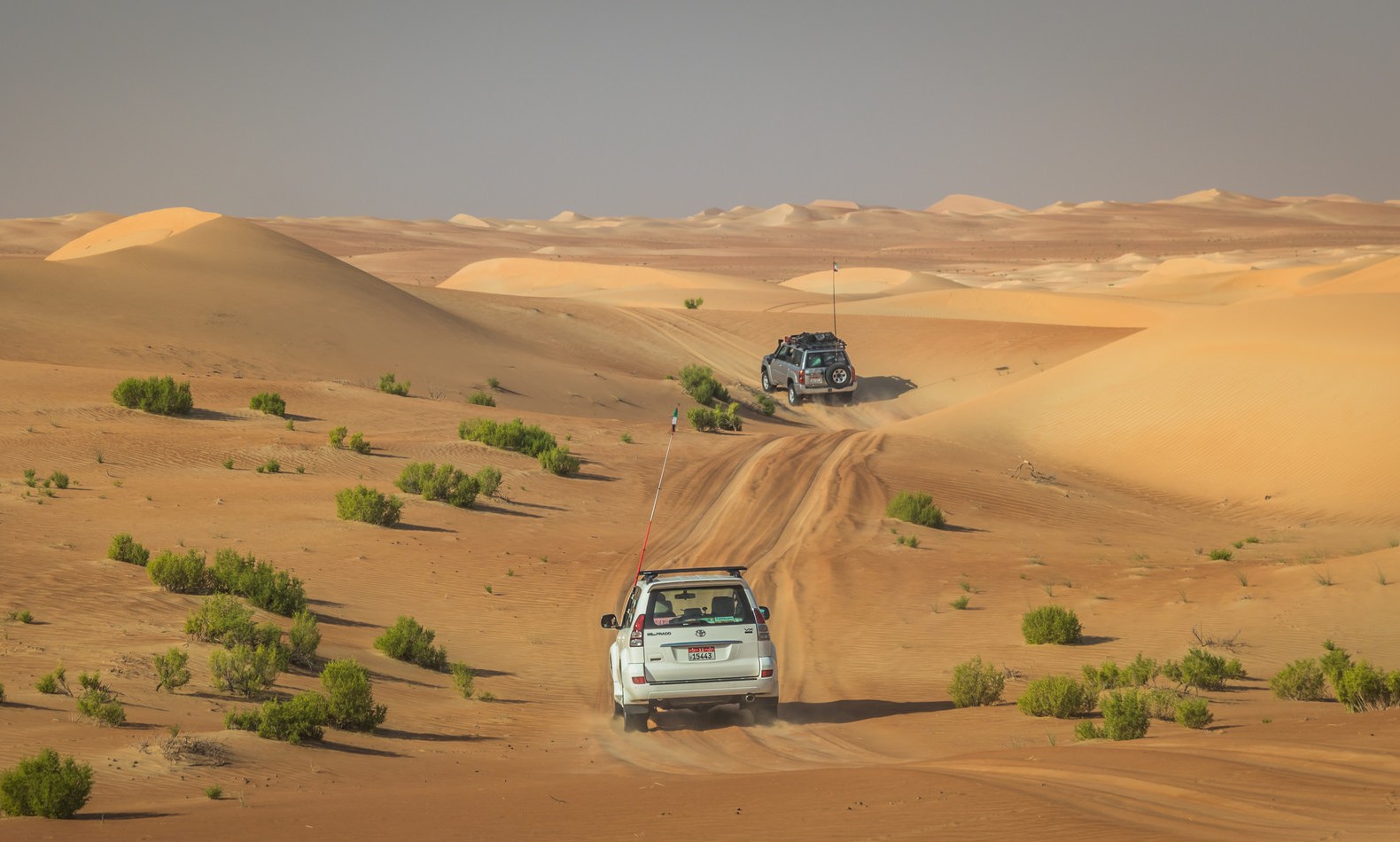 Desert Safari