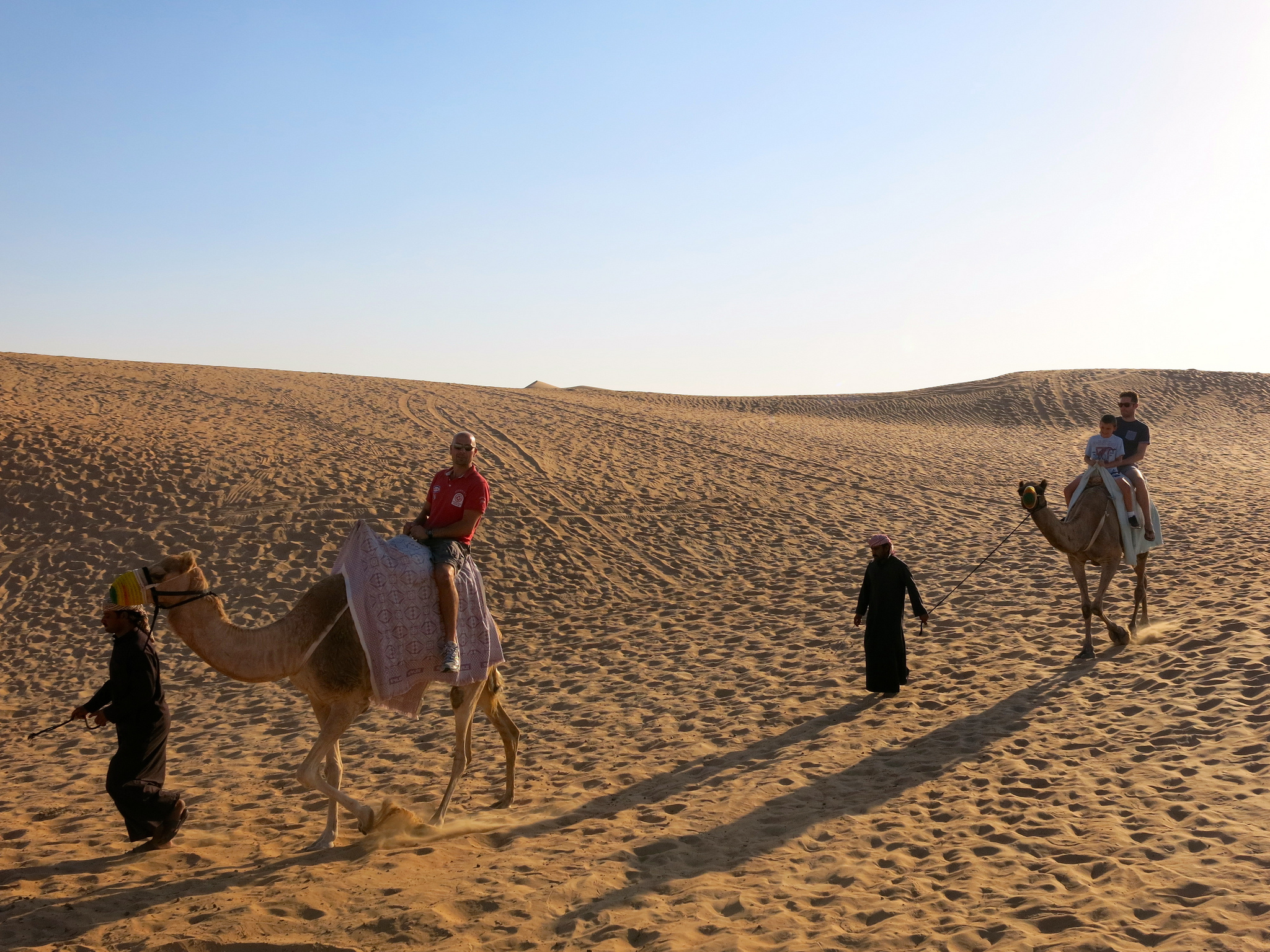 Desert Safari