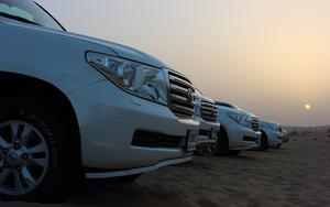 Thumbnail for Enjoy a Rejuvenating Morning Desert Safari in Abu Dhabi