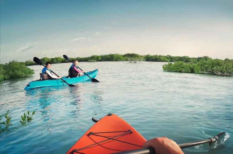 Take a Kayak through Abu Dhabi’s Eastern Mangroves Abu Dhabi Blog