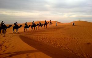 Thumbnail for The Complete Dubai Desert Safari Guide