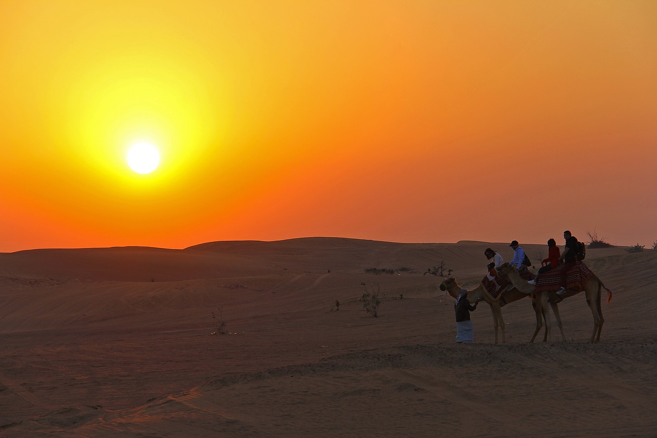 Camel ride in the desert