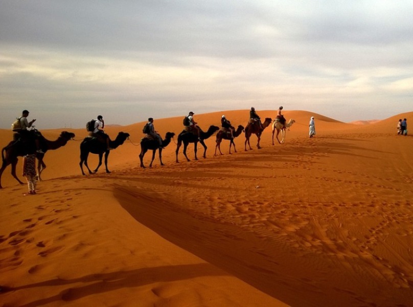 Desert Safari