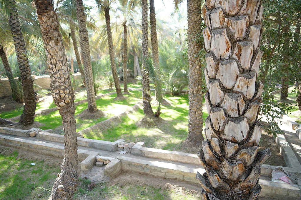 Falaj irrigation, Al Ain Oasis, Abu Dhabi