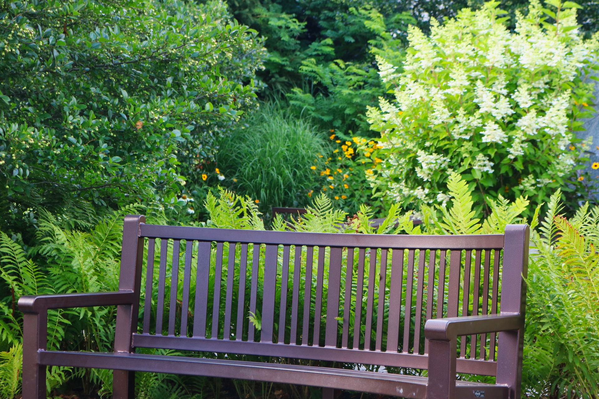 Park Bench