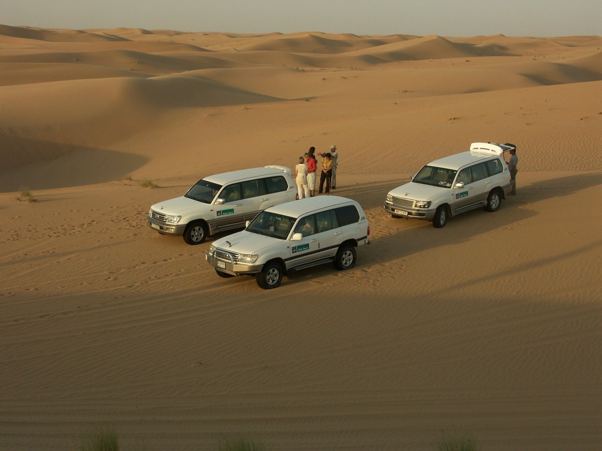 Safari dans un désert
