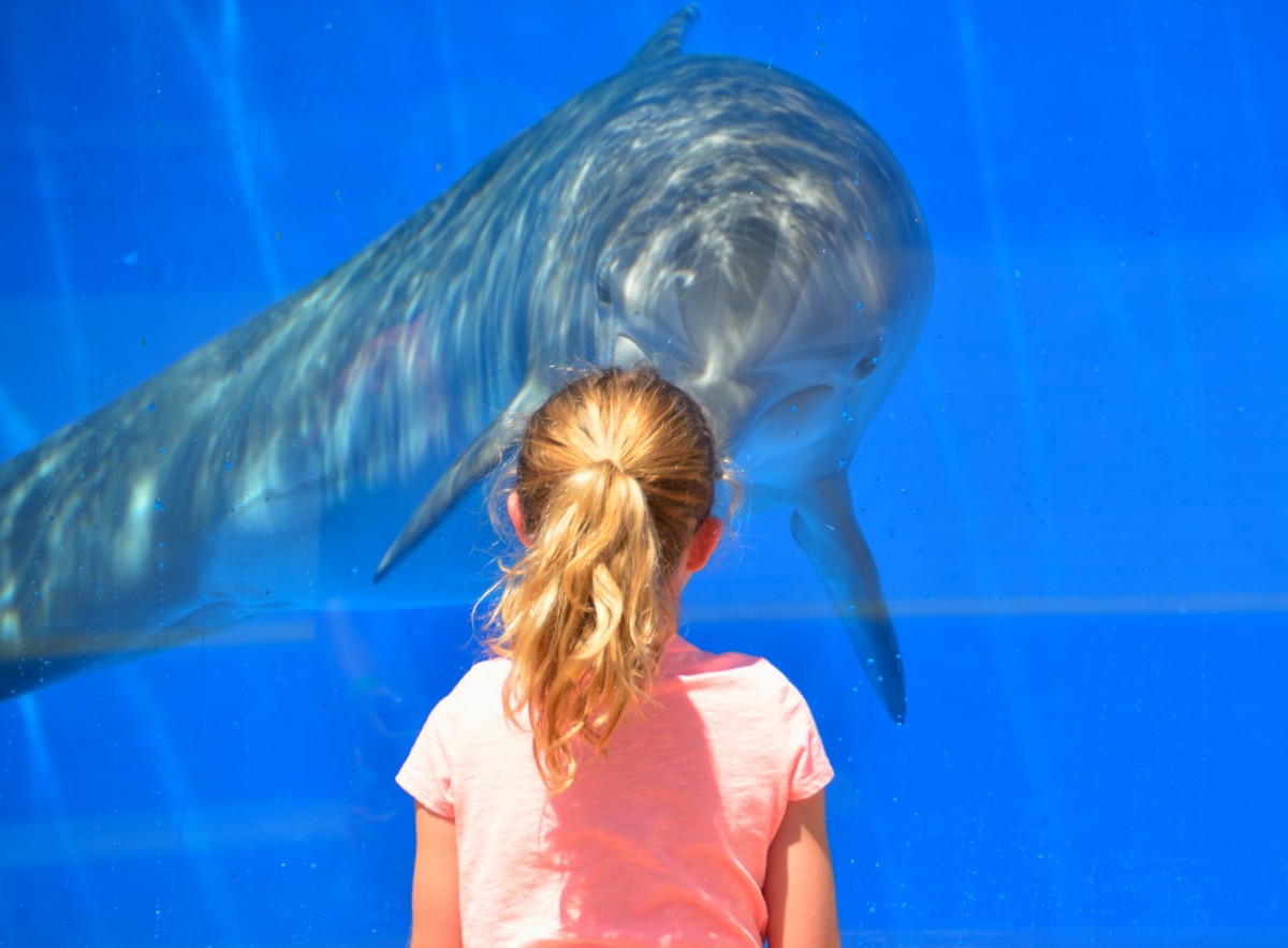 Kid in the aquarium