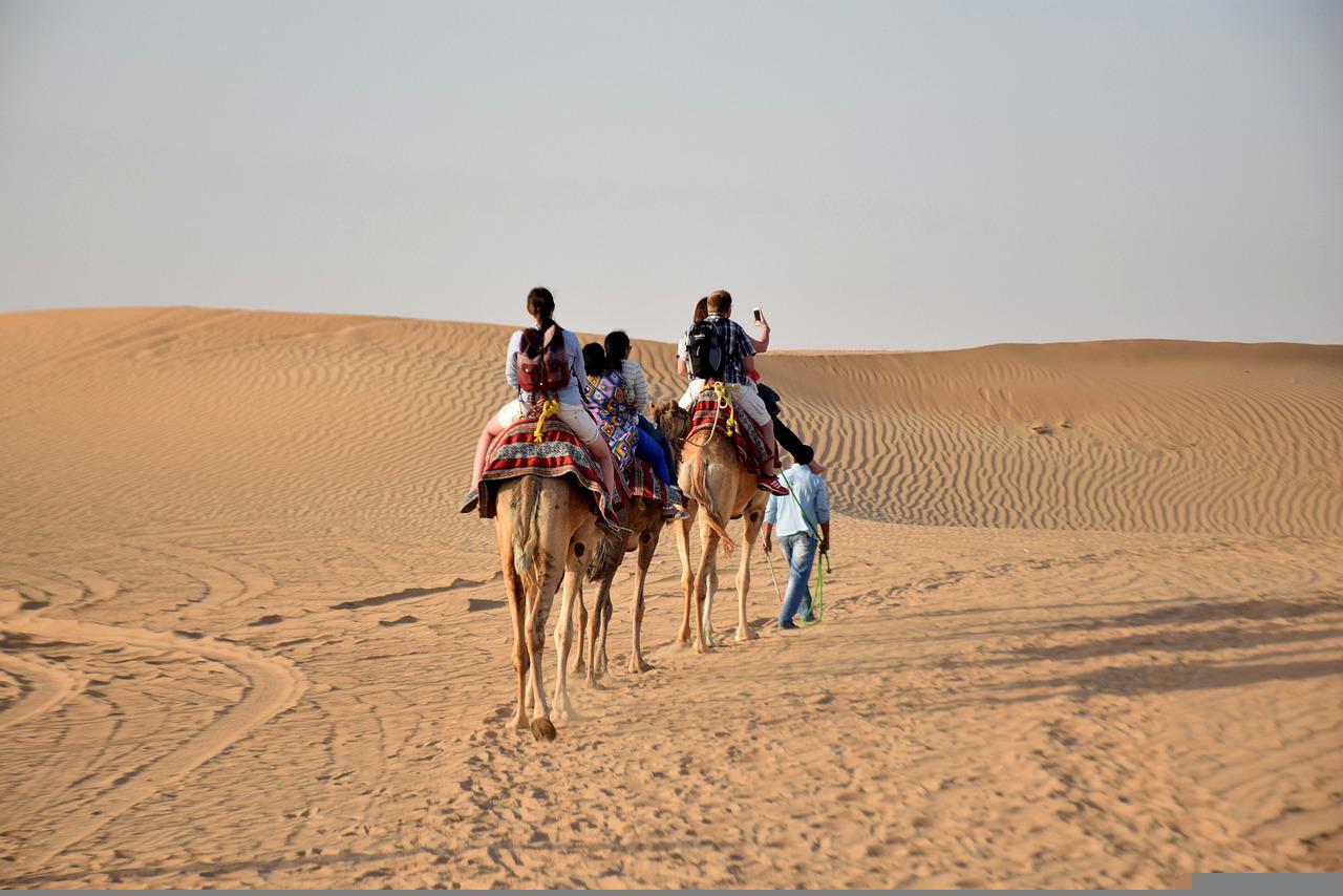 Safaris amusants en famille