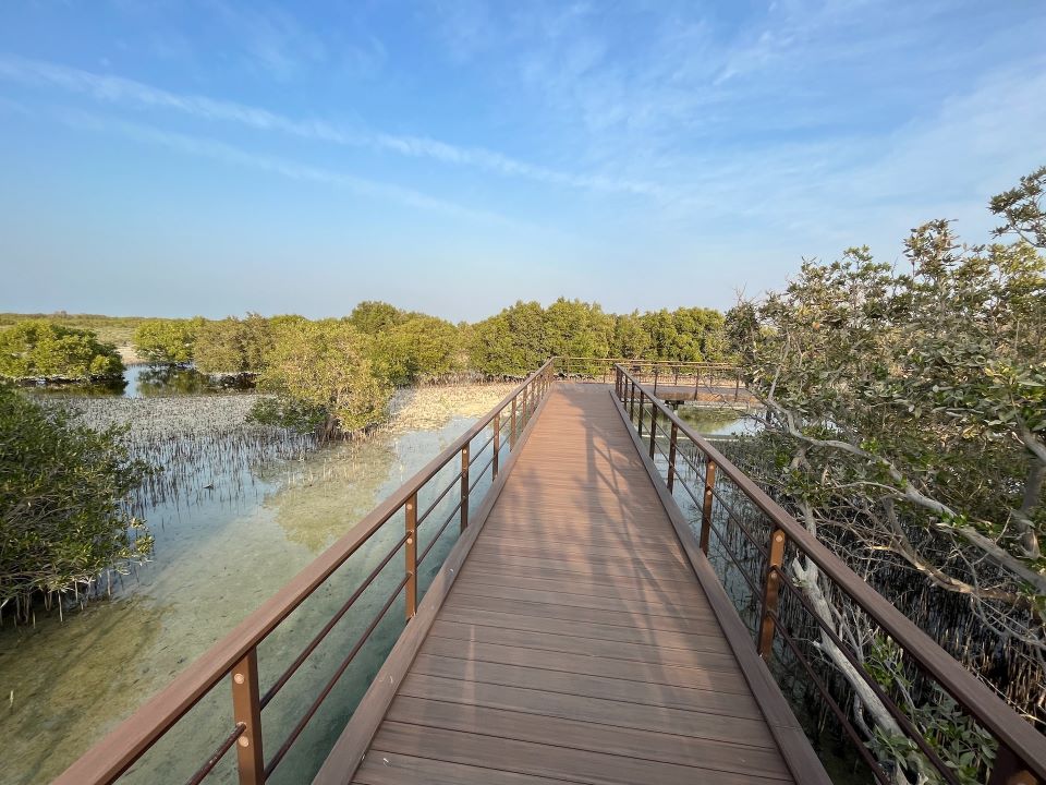 Jubail Mangrove Park